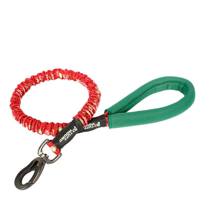Dog Leash for Large, Medium, and Small Breeds