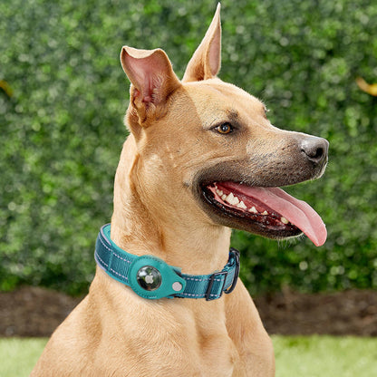 Convenient Pet Tracker Collar for Loss Prevention